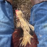 Ernest Levi Melton - @enestlevimelton - Instagram