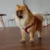 Ernest Lim - @ernest.lim0 - TikTok