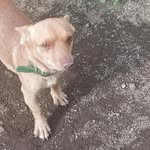 ernesto_limone - @ernestolimone6 - Instagram