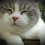 Ernest Lin - @ernestlin7872 - Instagram