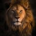 Ernest Ie Lion - Facebook