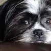 ernestmoberlylittlewhap - @ernestmoberlylittlewhap - TikTok