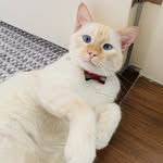 Ernest Lloyd - @the.adventures.of.ernest - Instagram