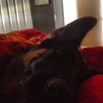 Ernest Lockwood - @trainerdith - Instagram