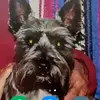 ErnieLongoria - @ernestolongoria398 - TikTok