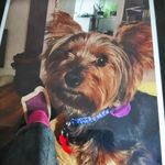 Ernest Longworth - @ernestlongworth - Instagram