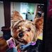 Ernest Longworth - Facebook