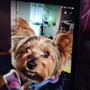 ernestlongworth - @ernestlongworth - TikTok