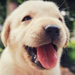 Chee Chung Ernest Loo - @jilust435 - Instagram