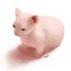 ernestoleny - @ernestoleny - TikTok