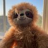 Ernesto S. - @ernestosloth - TikTok