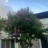 Ernesto Lubin - @ernesto.lubin - TikTok