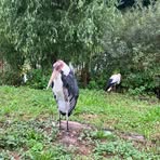 Ernest Łuk - Facebook
