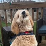Ernest McGee - @ernie_mcgee_thef1b - Instagram