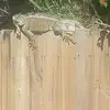 Ernest McCray - @ernest.mccray51 - TikTok