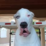 Ernest Mchugh - @ernest.mchugh.98 - Instagram