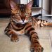 Ernest Mclean - Facebook