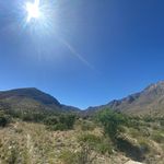 Ernest Menefee - @polarbeyou - Instagram