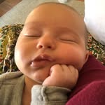 ernie - @ernestmilobeloved - Instagram