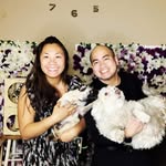 @milo_ernest_love - Instagram