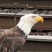Ernie Molnar - Facebook