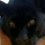 Ernesto Montes - @ernesto.montes.5473 - Instagram