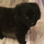 Ernest Montgomery - @ernie_montgomery - Instagram