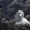 Ernest Morton - @ernest.morton0 - TikTok