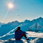 Ernest - @ernest_mountain_birds - Instagram