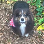 Ernest Mueller - @badgeratlaw - Instagram