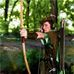Ernest Murdock - Facebook