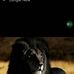 Earnest Musa - Facebook