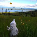 Ernest_nainconnu - @ernest.nainconnu - Instagram