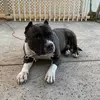 Ernest Nicolas - @ernest.nicolas - TikTok