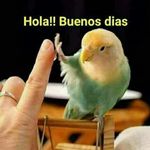 Ernesto Nieves - @ernesto.nieves.108 - Instagram