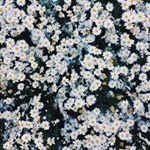 ernest.nolanbc02e - @ernest.nolanbc02e - Instagram