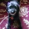 ernestinenwani - @ernestinenwani - TikTok