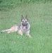Ernest Oden - Facebook