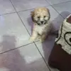 ernestoldsvalenci - @ernestoldsvalenci - TikTok