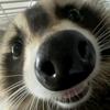 Ernestolive - @ernesto.0082 - TikTok