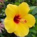 Ernest Orourke - Facebook