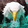 ernestosborne680 - @ernestosborne680 - TikTok