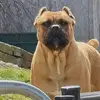 Ernest Pack Jr - @ernest.pack.jr - TikTok
