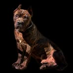 Ernest Pack Jr. - Facebook