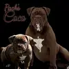 Ernest-Pack-Jr - @jrkcaptsenre - TikTok
