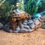 Hank Ernest Pack - @highjinks_wit_hank - Instagram