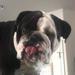 Ernest palacios - @palaciosernest - Instagram