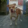 Ernesto Perry - @ernestoperry - TikTok