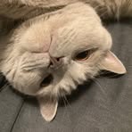 Ernest Person - Facebook