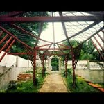 Ernest Pickle - @luckyicydays - Instagram
